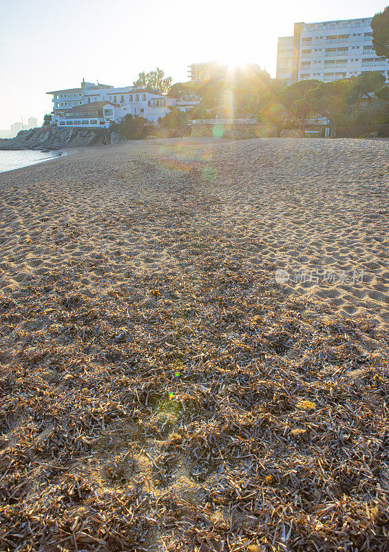 Platja Rovira, Platja D'Aro 11月日落景观